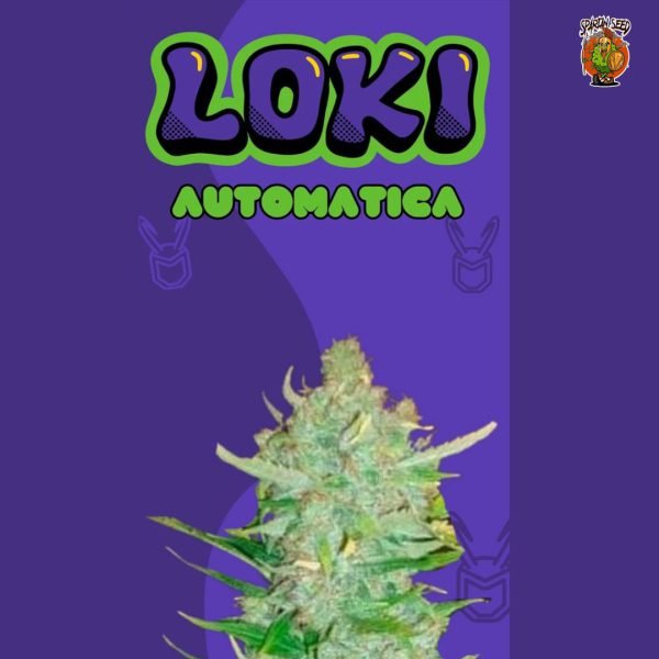 LOKI (AUTO) X 4 - Spartan Seed